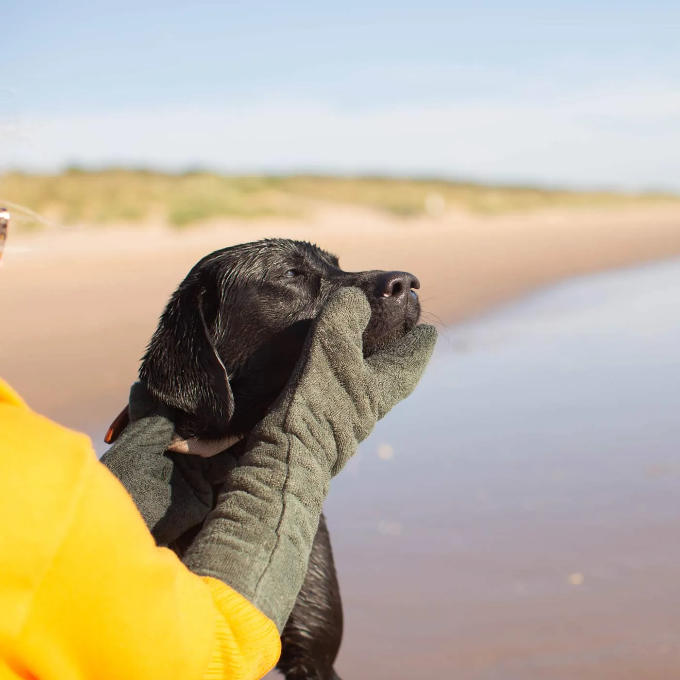 Bamboo Drying Mitts in Fir by Lords & Labradors