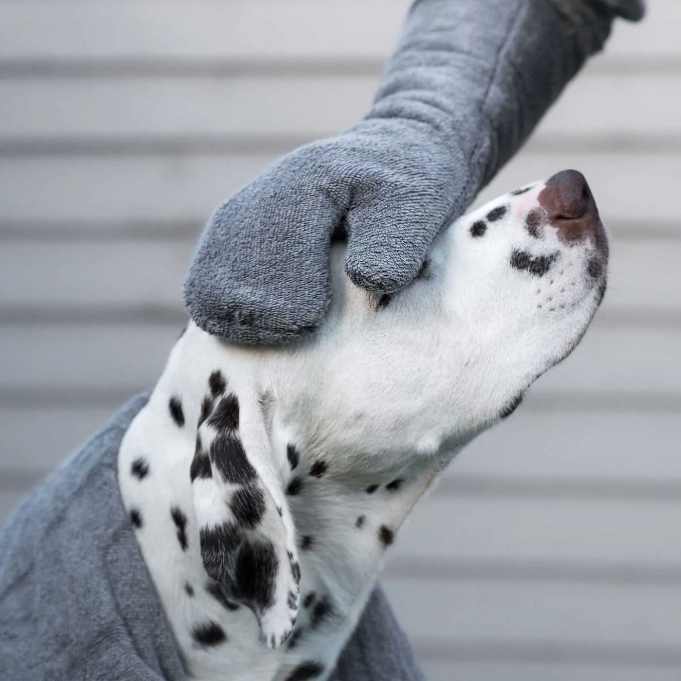 Bamboo Drying Mitts in Gun Metal by Lords & Labradors