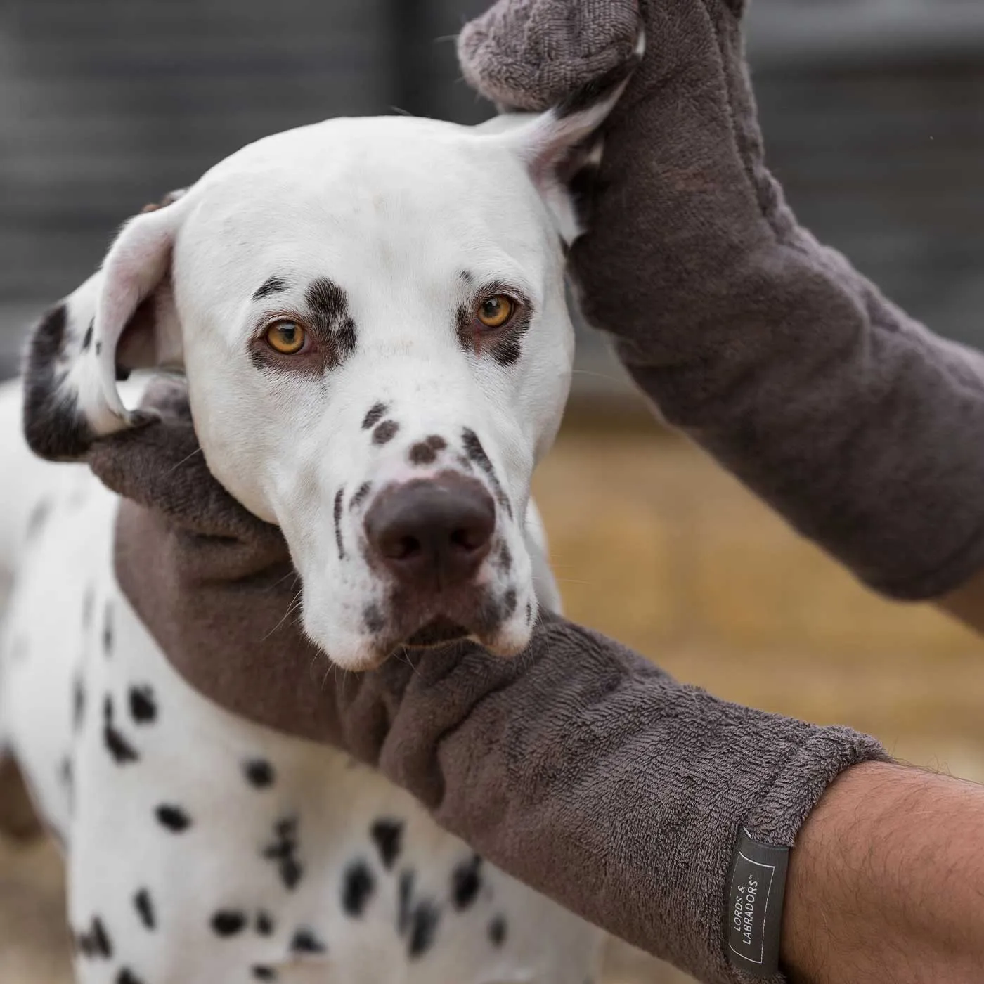 Bamboo Drying Mitts in Mole by Lords & Labradors