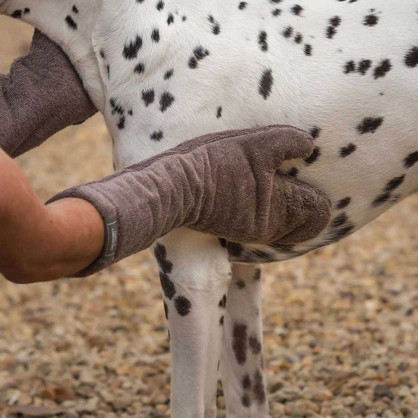 Bamboo Drying Mitts in Mole by Lords & Labradors