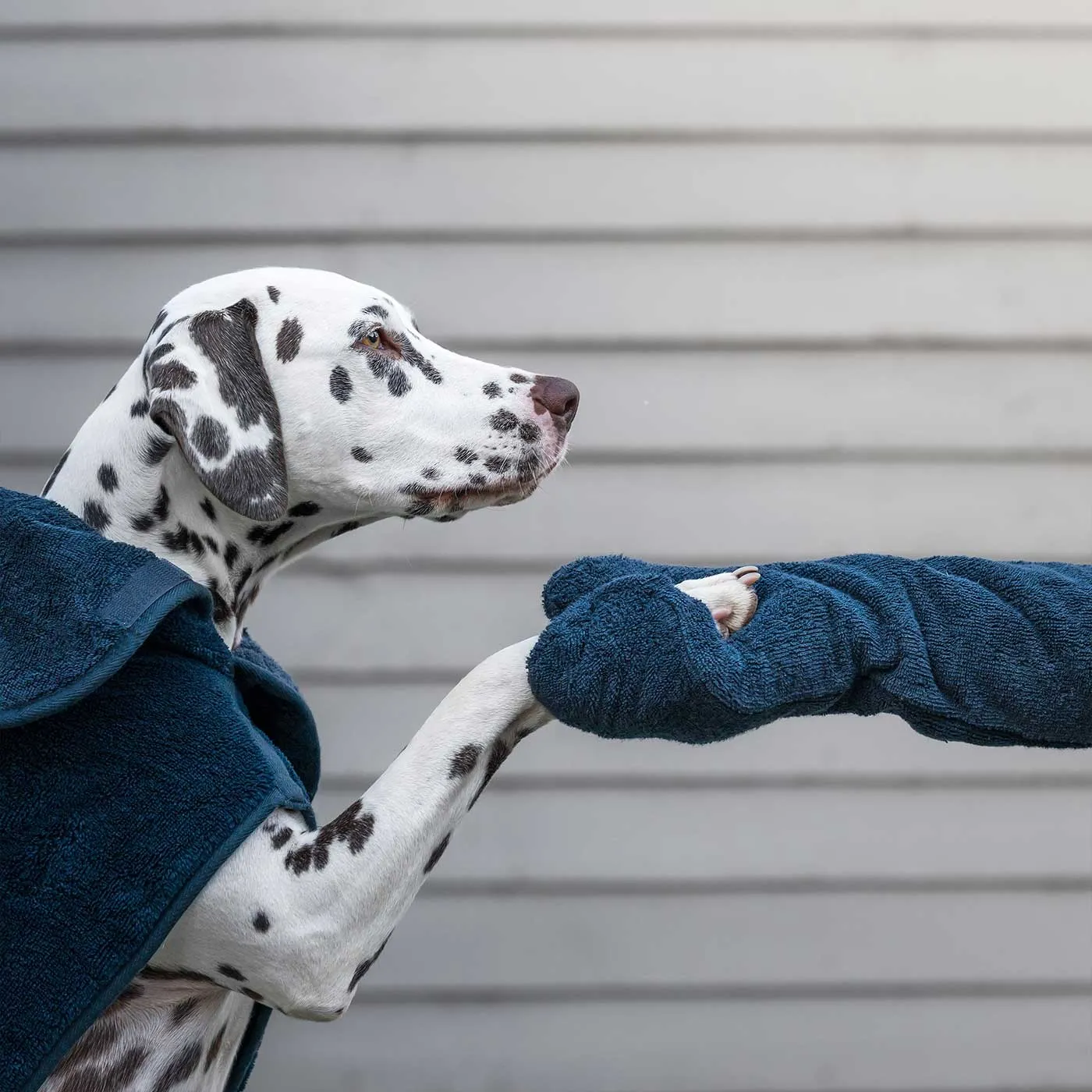 Bamboo Drying Mitts in Navy by Lords & Labradors