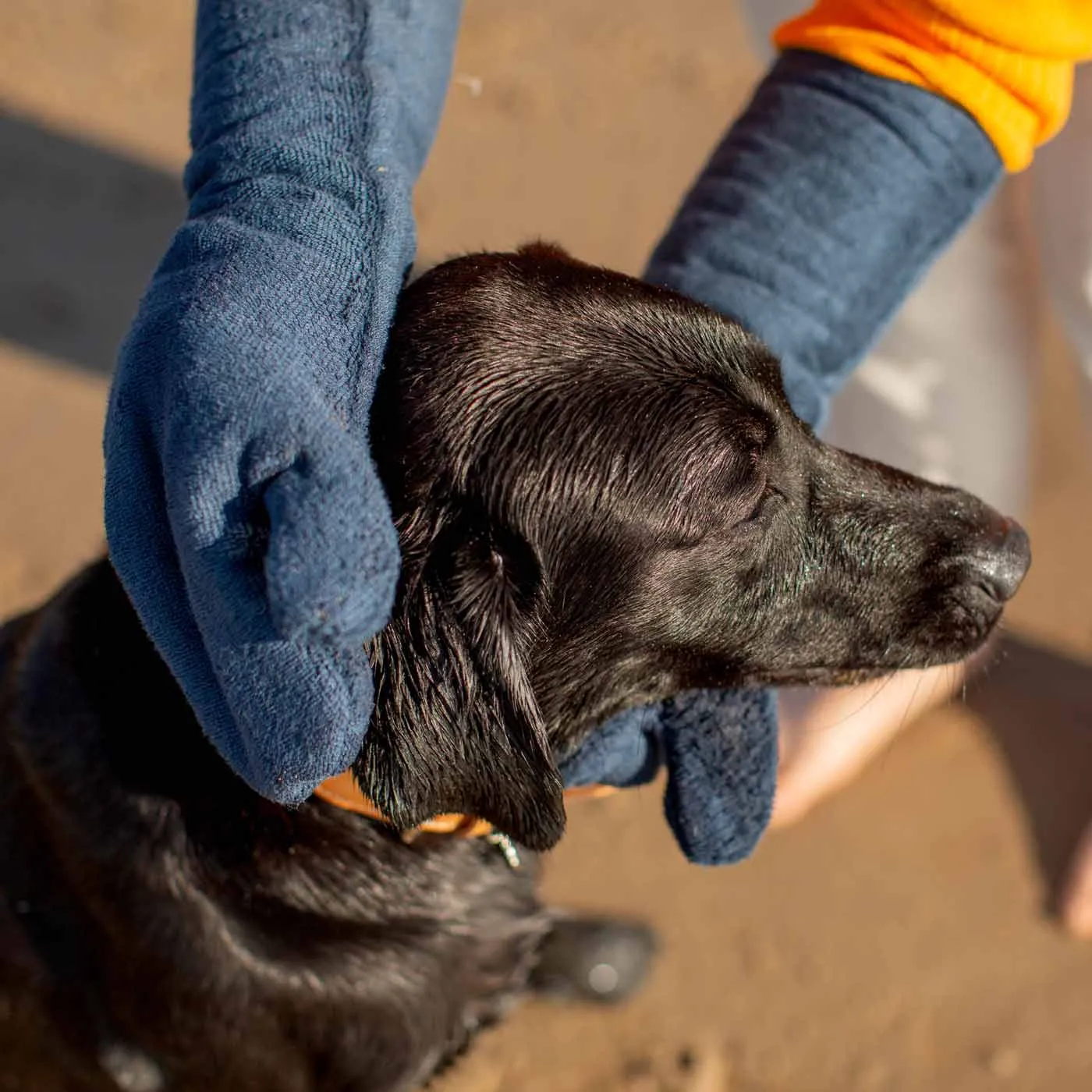 Bamboo Drying Mitts in Navy by Lords & Labradors