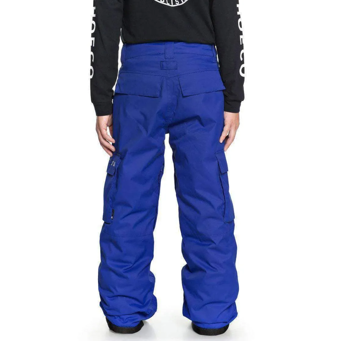 DC Boys Banshee Kids Snow Pants - Surf The Web